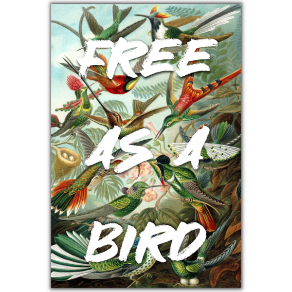 free as a bird wanddecoratie vogels bloemen