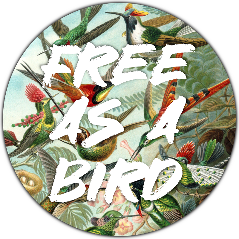 free as a bird wanddecoratie vogels bloemen
